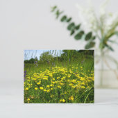 金蓮花のポストカード ポストカード (スタンド正面)