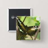 金蝶正方形Pin 缶バッジ (正面&裏面)