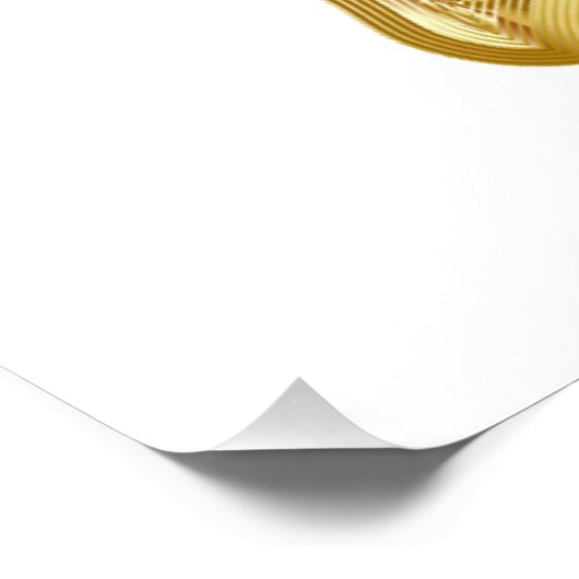 金蝶 ポスター (コーナー)