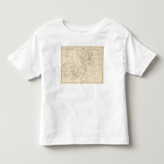 金褐色のハンプトンの滝 トドラーTシャツ (正面)