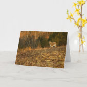 金軽い悔やみや弔慰 カード (黄色い花)