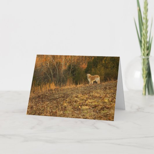 金軽い悔やみや弔慰 カード (正面)