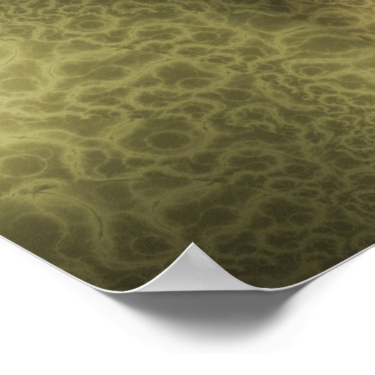 金輝く帯 ポスター (角)