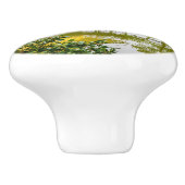 金閣寺京都 セラミックノブ (側面)