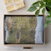 金閣寺金閣寺金閣 薄葉紙 (ギフト)