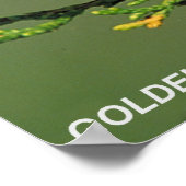 金頬のワルラー ポスター (角)