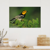 金頬のワルラー ポスター (キッチン)