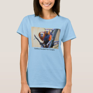 金頭のライオンのtamarin tシャツ