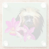 金頭のライオン・タマリン・モンキー ガラスコースター (裏面)