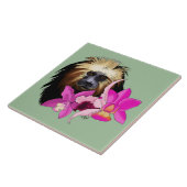 金頭のライオン・タマリン・モンキー タイル (側面)