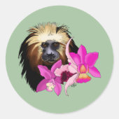 金頭のライオン・タマリン・モンキー ラウンドシール (正面)