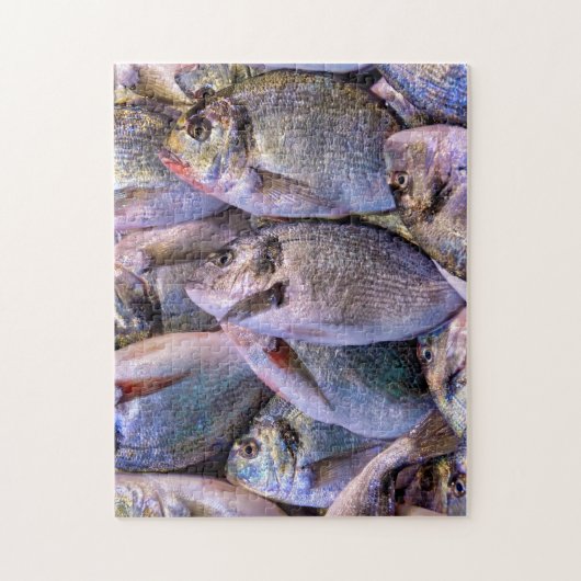 金頭鯛 ジグソーパズル (縦)