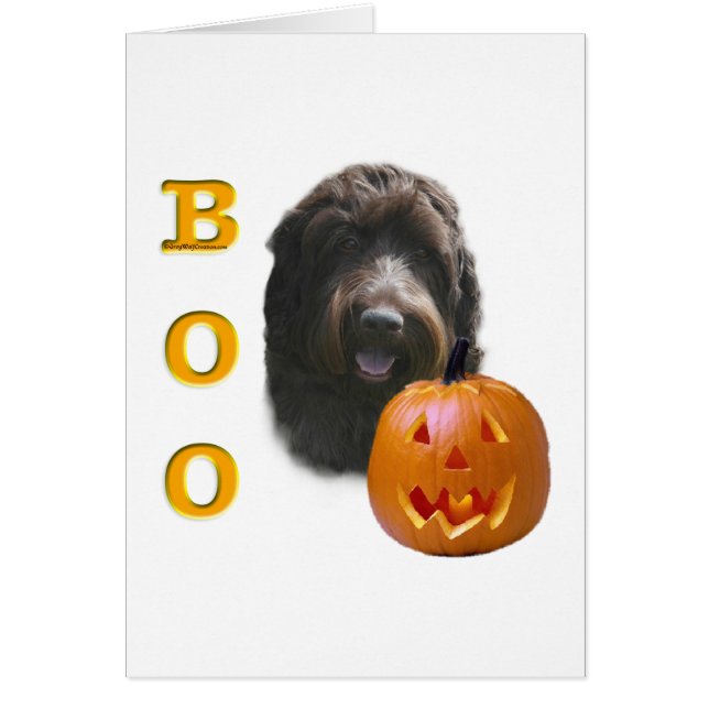 金髪のポインティンググリフォンブー (正面)