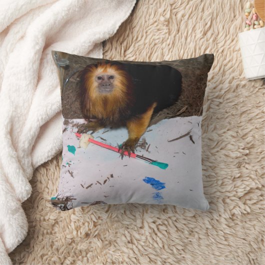 金髪のライオン・タマリン絵画ズ クッション (ブランケット)