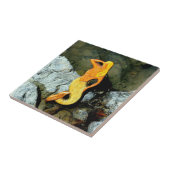 金髪の人魚 タイル (側面)