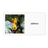 金髪の人魚 ラベル (正面)