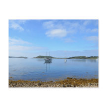 金髪の停泊場所