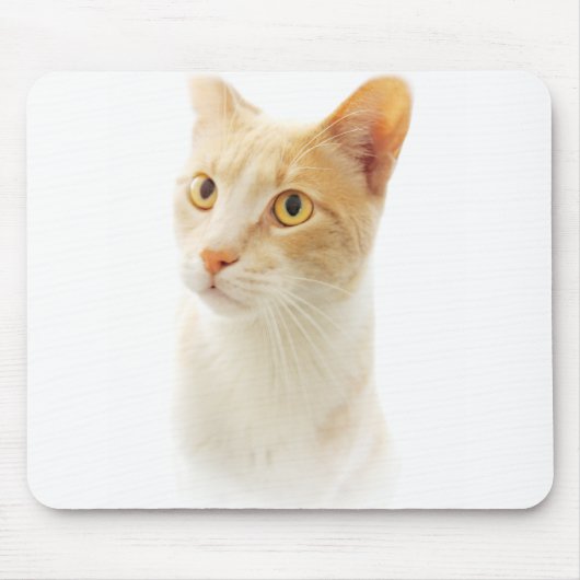 金髪の子猫の不思議な表情 マウスパッド (正面)