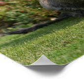 金髪の標準ダシュント ポスター (角)