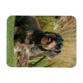 金髪の標準ダシュント マグネット (横)