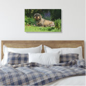 金髪の標準的なダシュント座り キャンバスプリント (インサイチュ (寝室))