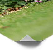 金髪の標準的なダシュント座り ポスター (角)