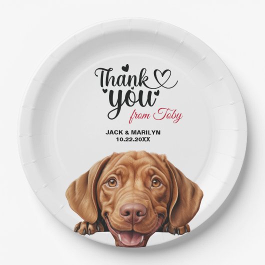 金髪ビズラ ペーパープレート (正面)