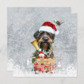 金髪ポインタ、ドッグクリスマス (正面/裏面)