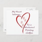 金髪ポインティンググリフォンハート属 ポストカード (正面/裏面)