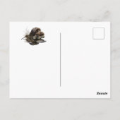 金髪ポインティンググリフォン、ウッドコック狩り ポストカード (裏面)