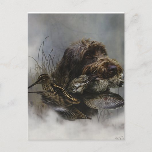 金髪ポインティンググリフォン、ウッドコック狩り ポストカード (正面)
