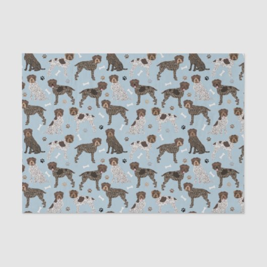 金髪ポインティンググリフォン 薄葉紙 (正面)