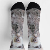 金髪ポインティング絵画グリフォン – Dog Art ソックス (上部)