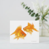 金魚が交差する2匹 ポストカード (スタンド正面)