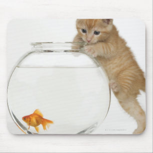 金魚で得ることを試みている子ネコ マウスパッド