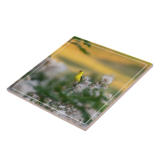 金魚とアザミの秋 タイル (側面)