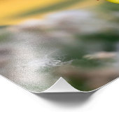 金魚とアザミの秋 フォトプリント            (角)