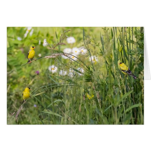 金魚と野生の花 (正面横)