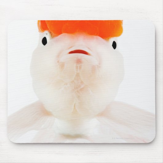 金魚のアカオウギョウ マウスパッド (正面)