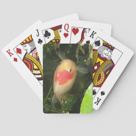 金魚のトランプ トランプ (裏面)