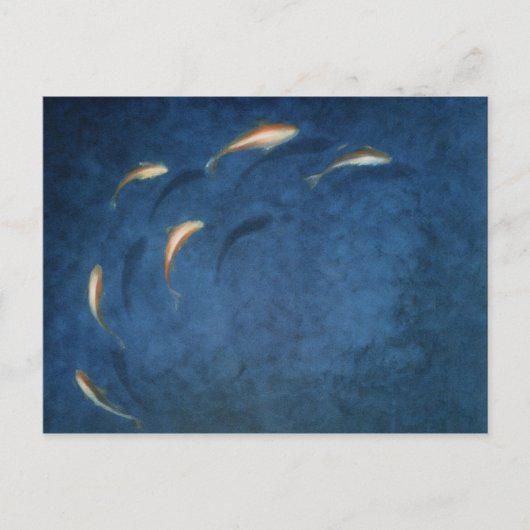 金魚のプール ポストカード (正面)