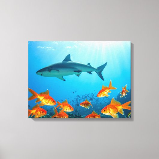 金魚の中のサメ キャンバスプリント (正面)