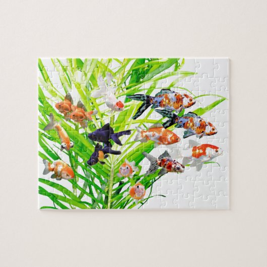 金魚の優良製品 ジグソーパズル (横)