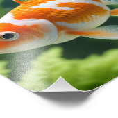 金魚の写真プリント フォトプリント            (角)