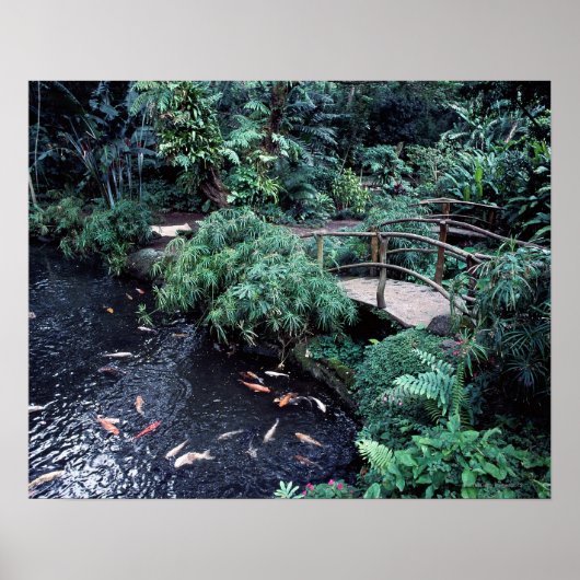 金魚の池を橋で囲む ポスター (正面)