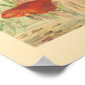 金魚の熱帯魚ヴィンテージカラーアートプリント ポスター (角)