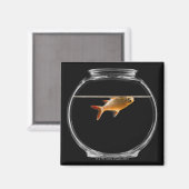 金魚の鉢2 マグネット (正面/裏面)