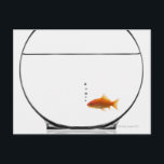 金魚を椀に盛る ポストカード<br><div class="desc">動物 – >魚</div>