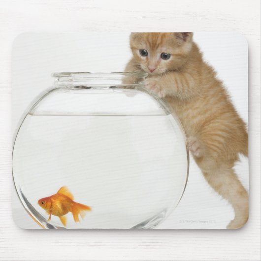 金魚を狙う子猫 マウスパッド (正面)