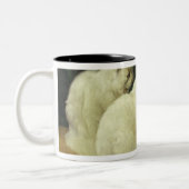 金魚を見ている白い猫 ツートーンマグカップ (左)